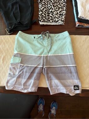 Quiksilver Mint Green and Light Gray Striped Board Shorts